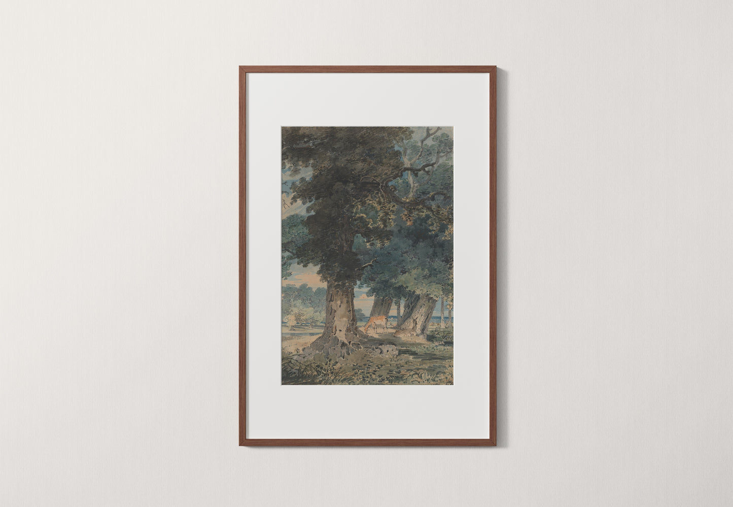 Summer in the Forest